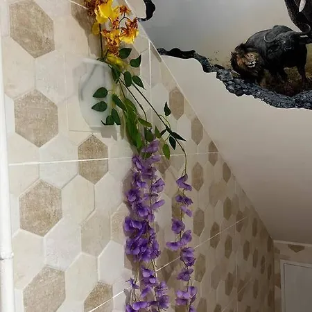 Avotu 43 Flat In * Riga